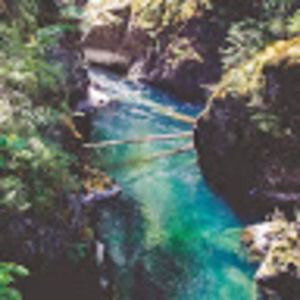 Meet your Posher, Jacqueline.